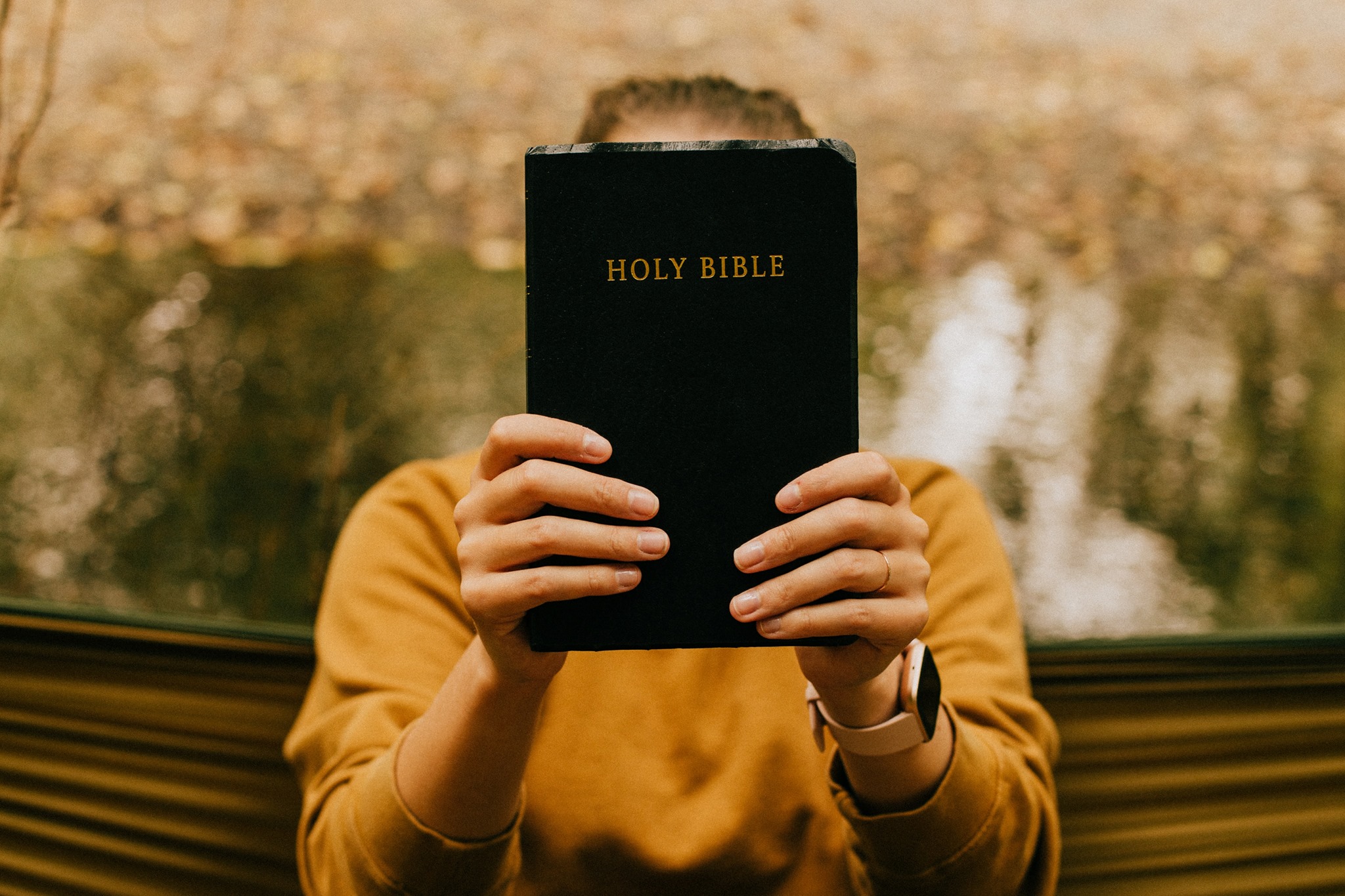 Person holding Bible