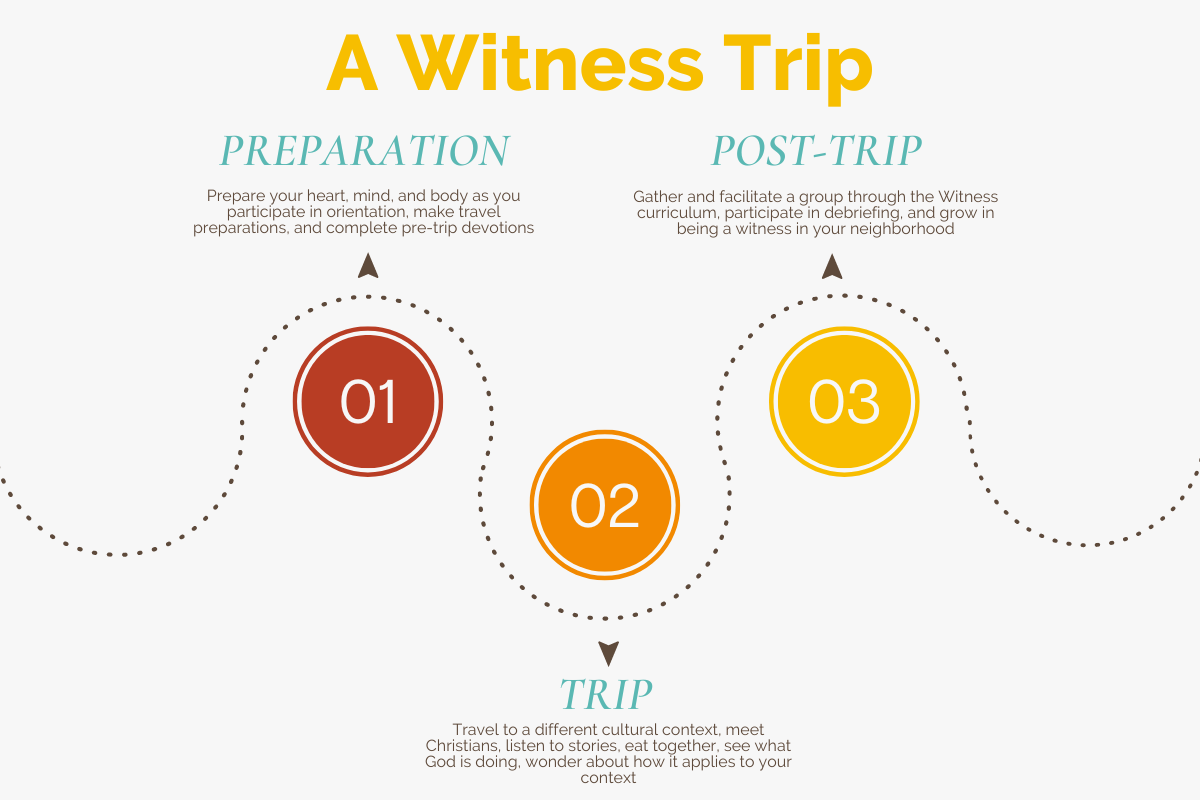 Witness Trip Graphic