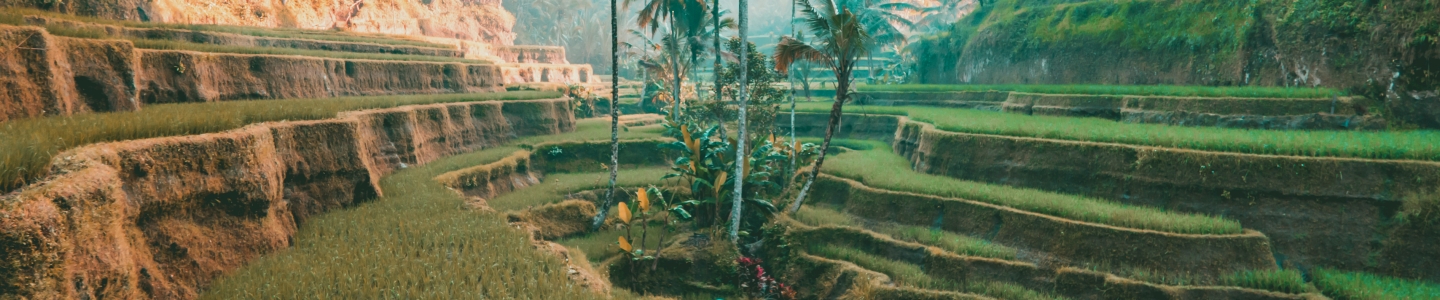 South/Southeast Asia South/Southeast Asia