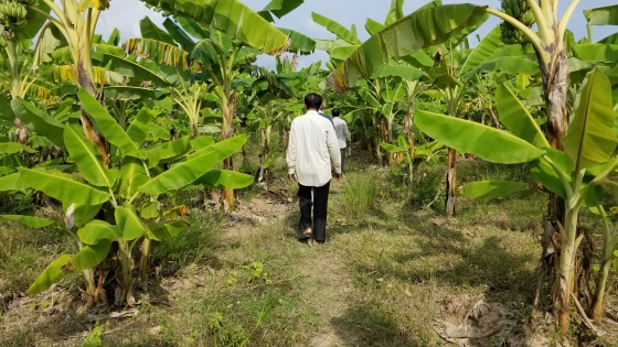 Pastor Sopheap walks in a field