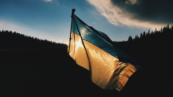 Ukraine Flag