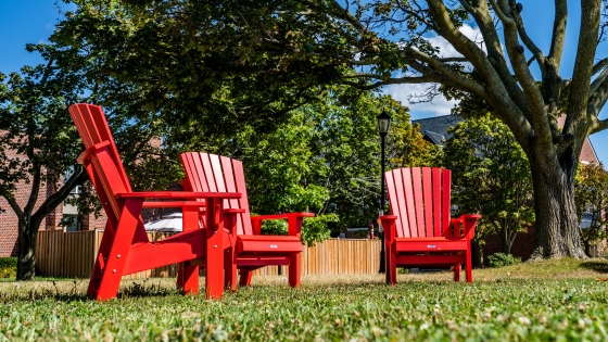 Sitting In a Yard Red lawn chairs in a yard on a summer day