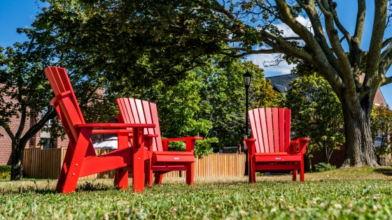 Red lawn chairs in a yard on a summer day