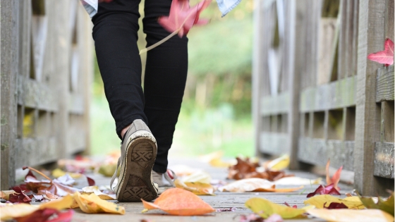 Feet on a path coated with colorful leaves