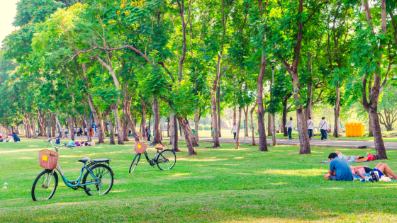 People at a park