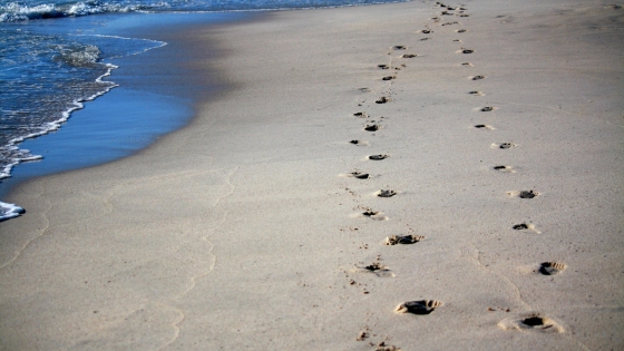Footprints in sand with waves washing up on shore