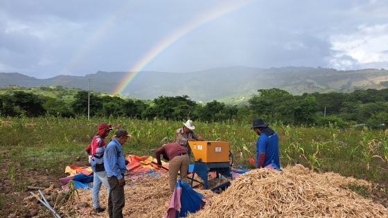 Farmers work in a field under a rainbow