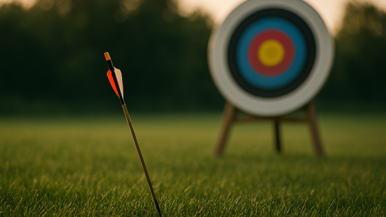 Arrow in the grass in front of a target