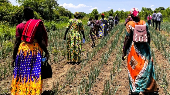 Women in colorful fabric walking down rows of crops in a field