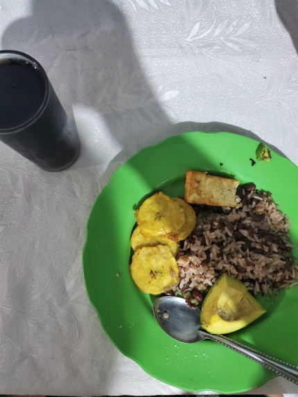 Plate of gallo pinto and fried plantains