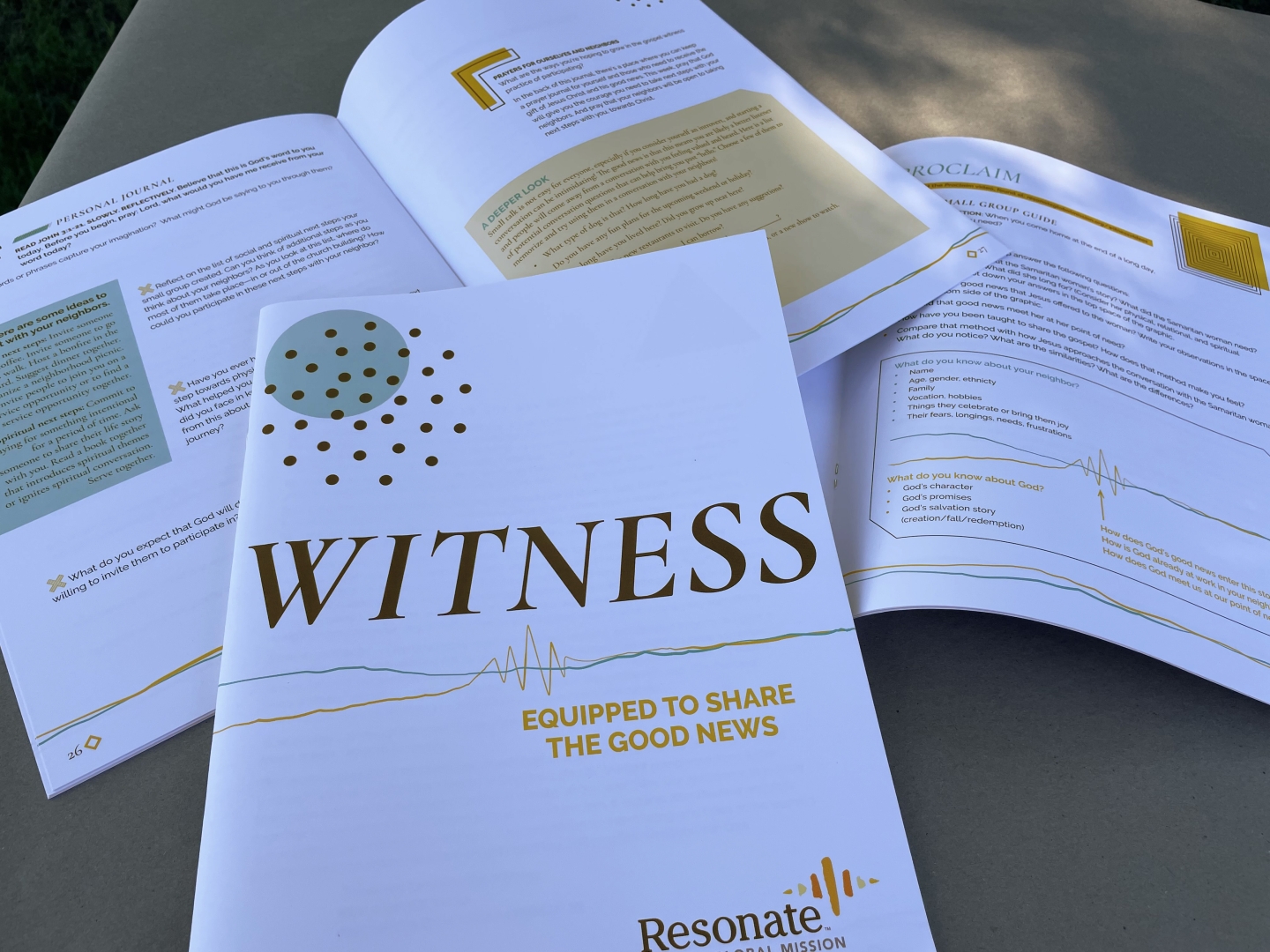 Inside of Witness workbook