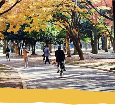 People riding bikes in the park