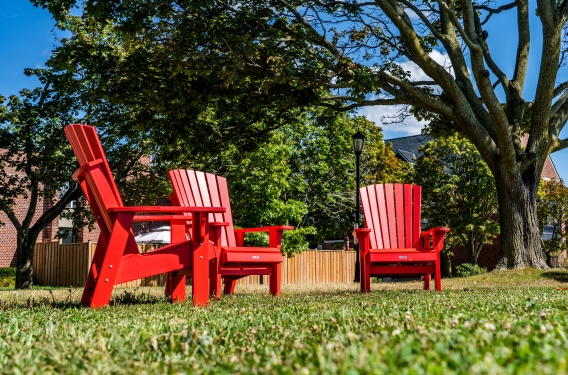 Red lawn chairs in a yard on a summer day