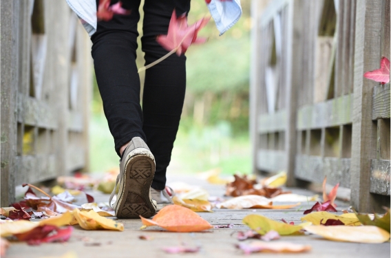 Feet on a path coated with colorful leaves